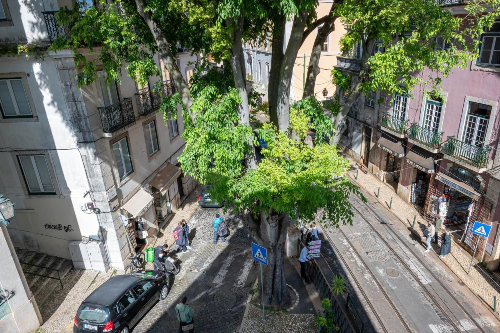 ポルタス ド テアトロ アパートメント リスボン 部屋 写真
